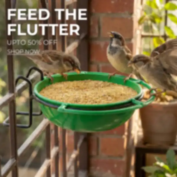 undefined__undefined