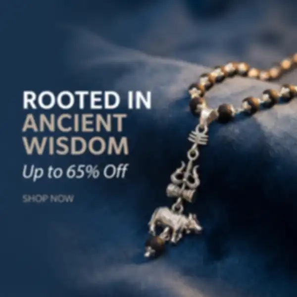 undefined__undefined