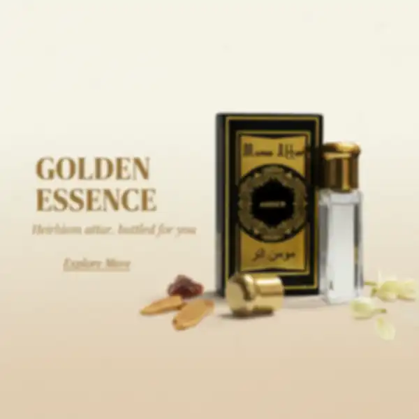 BANNER_undefined__undefined