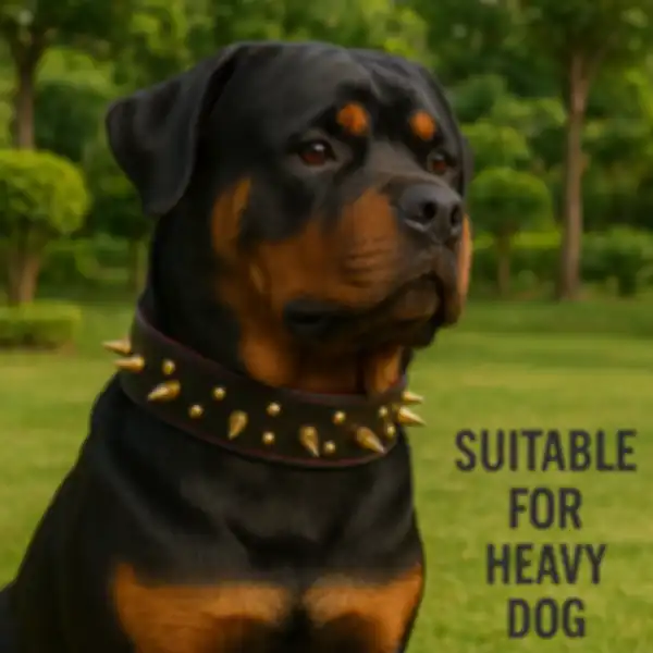 undefined__undefined