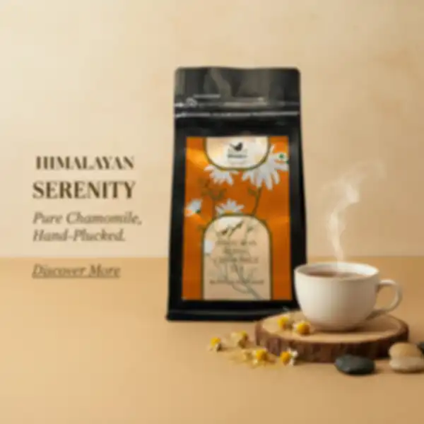 BANNER_undefined__undefined