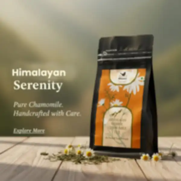 BANNER_undefined__undefined