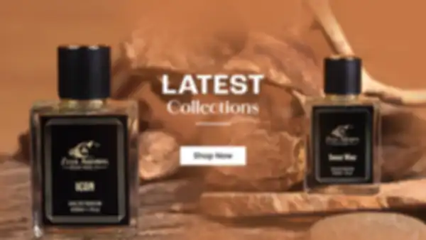 undefined__undefined