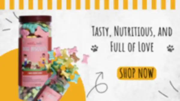 BANNER_undefined__undefined