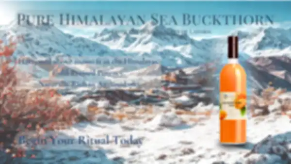 BANNER_undefined__undefined