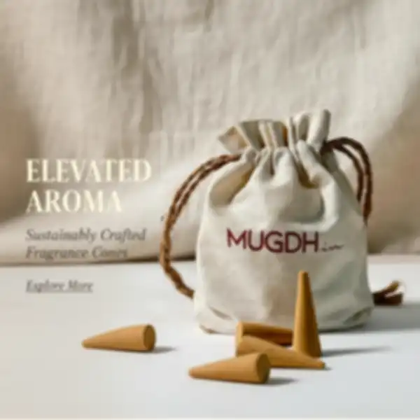 undefined__undefined