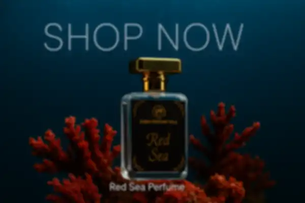 undefined__undefined