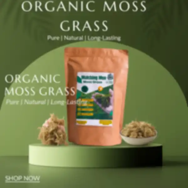 undefined__undefined