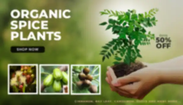 undefined__undefined