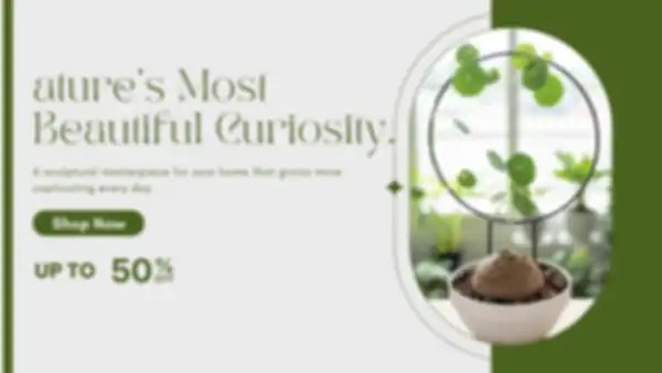 BANNER_undefined__undefined