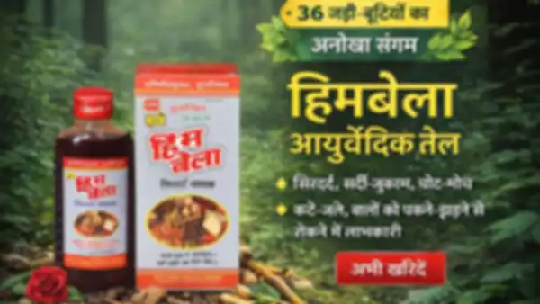 undefined__undefined