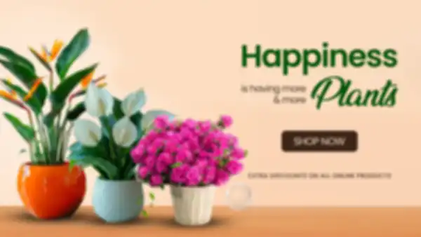 undefined__undefined