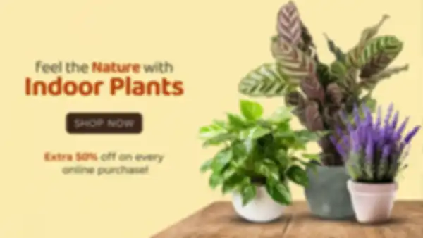 undefined__undefined