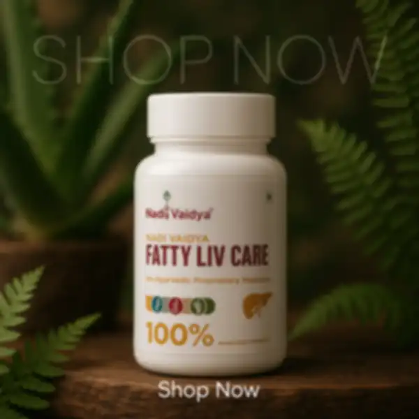 undefined__undefined