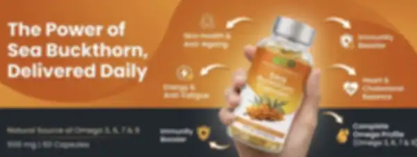 undefined__undefined