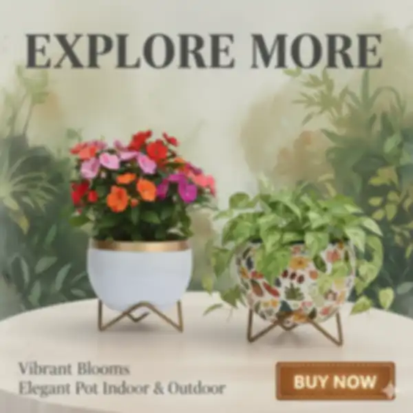 BANNER_undefined__undefined