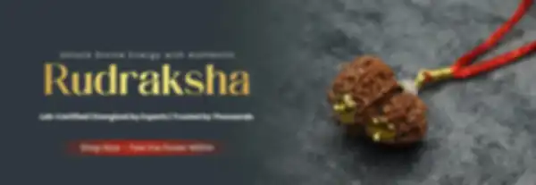 undefined__undefined