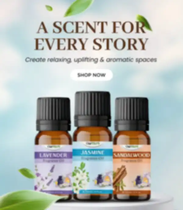 Banner_1_undefined__undefined