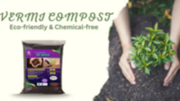 undefined__undefined