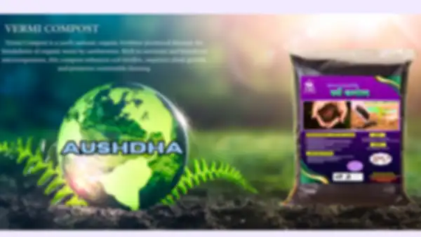 undefined__undefined