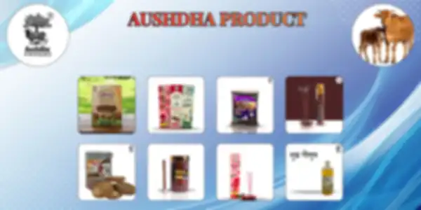 undefined__undefined