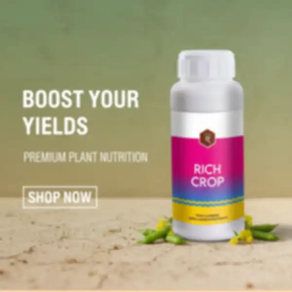 undefined__undefined