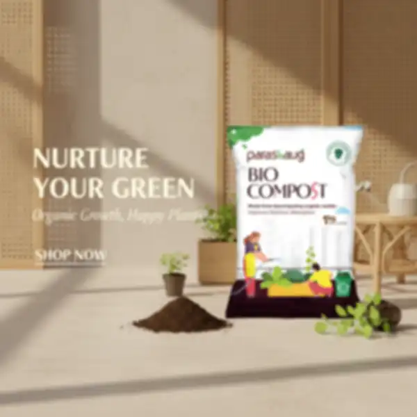 undefined__undefined