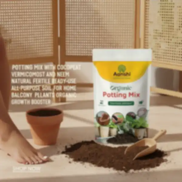 undefined__undefined