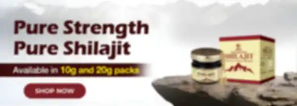 undefined__undefined