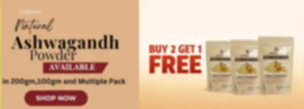 undefined__undefined