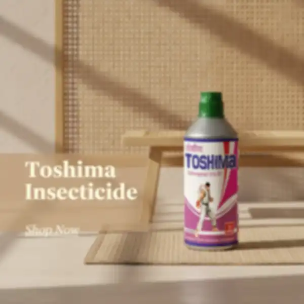 undefined__undefined