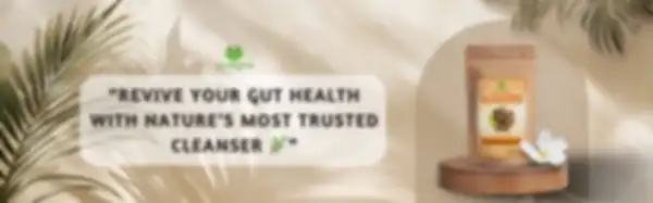 undefined__undefined