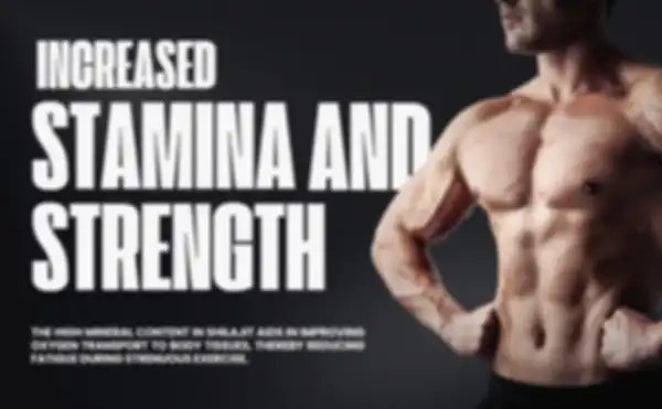 undefined__undefined