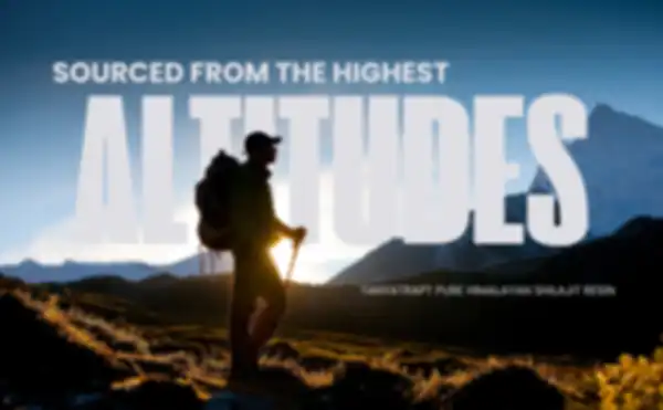 undefined__undefined