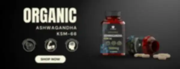 undefined__undefined