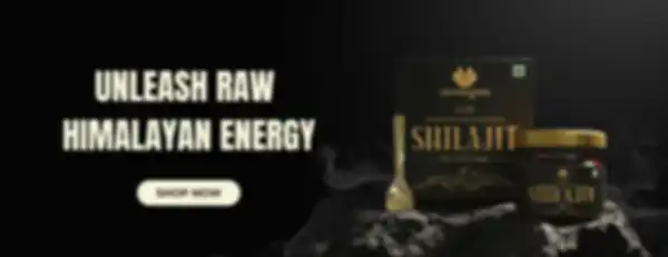 undefined__undefined