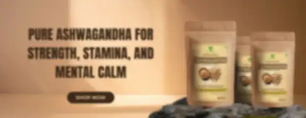 undefined__undefined