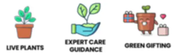 STRIP_undefined__undefined