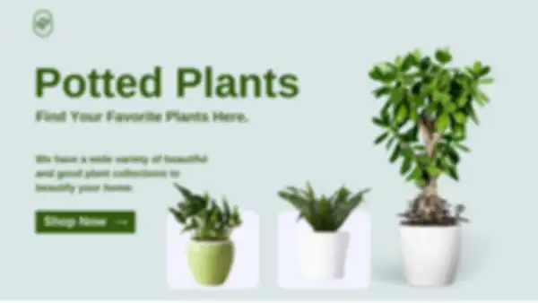 undefined__undefined