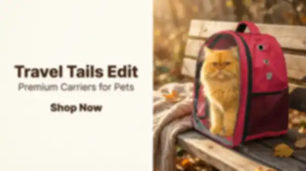 undefined__undefined