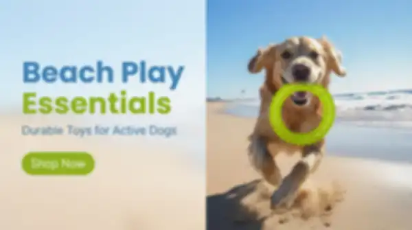 undefined__undefined