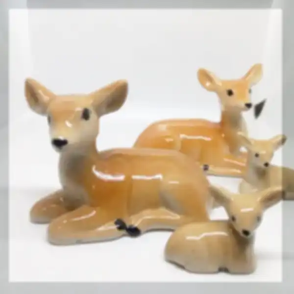 DISCOVER_OUR_NEWEST_COLLECTION:__undefined