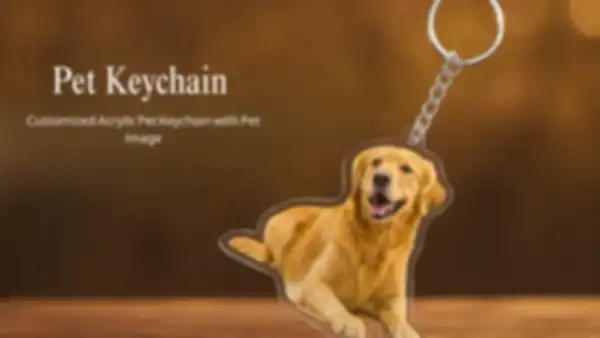 undefined__undefined