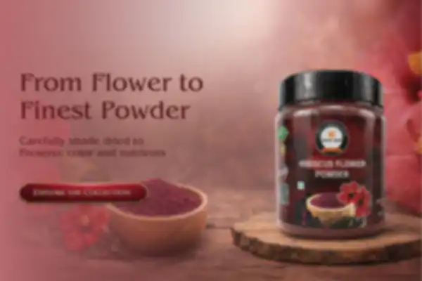 undefined__undefined