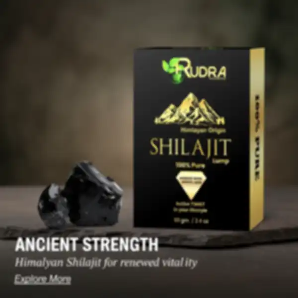 undefined__undefined