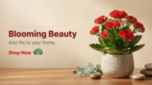 BANNER_undefined__undefined