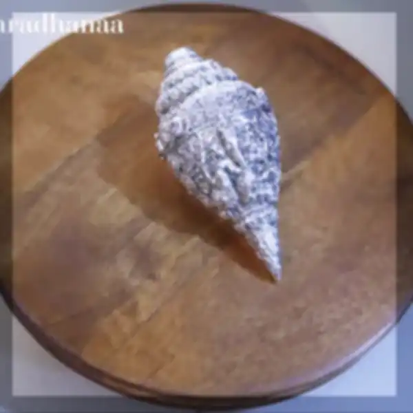 UNCOVER_OUR_LATEST_PRODUCT_RANGE:__undefined