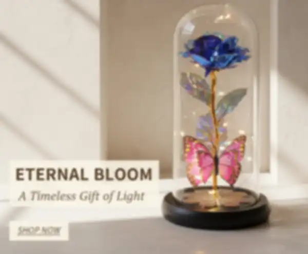 undefined__undefined