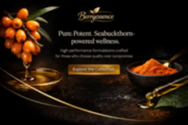 undefined__undefined