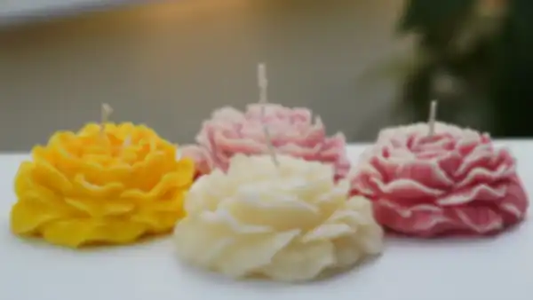 undefined__undefined